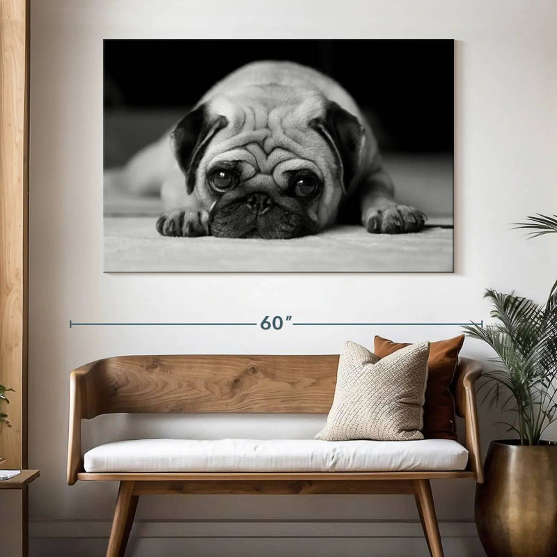 Brampt Sad Pug, 34" H x 51" W