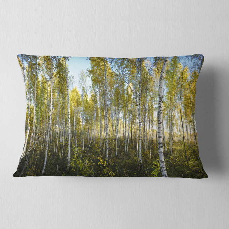 Coussin Schafer