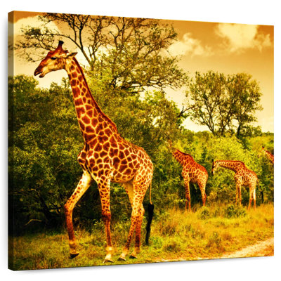 Crowle African Safari Giraffes