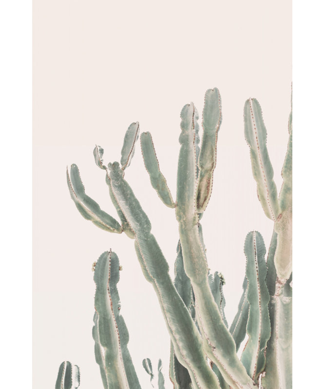 Wrapped Canvas Print, 76.2 cm H x 50.8 cm W
