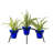 Trishelle Glass Pot Planter