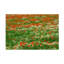 Coquelicots et champ de camomille par Cora Niele - photographie sur toile tendue-1302857230