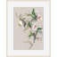 Fragrant Thought 1 Print by Claudia Lowry-354077489