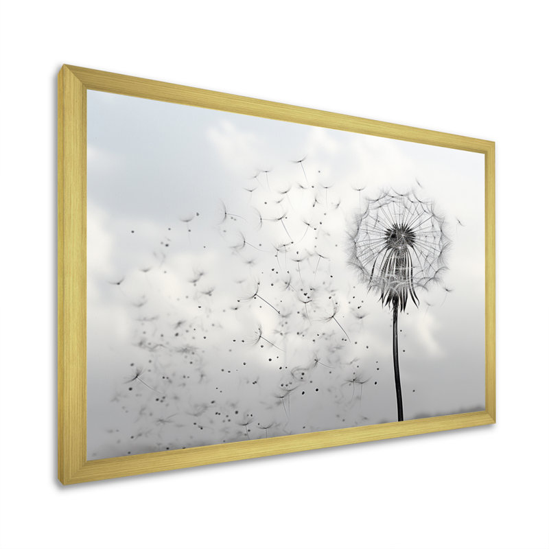 «Minimalims Dandelion Natures Fragility II», art mural encadré pissenlit, H 30 po x l 40 po x P 1,5 po, Cadre doré simple