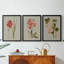 Botanical Array IV - Toile tendue avec châssis sur mesure - 3 pièces-1955093305-1955093307