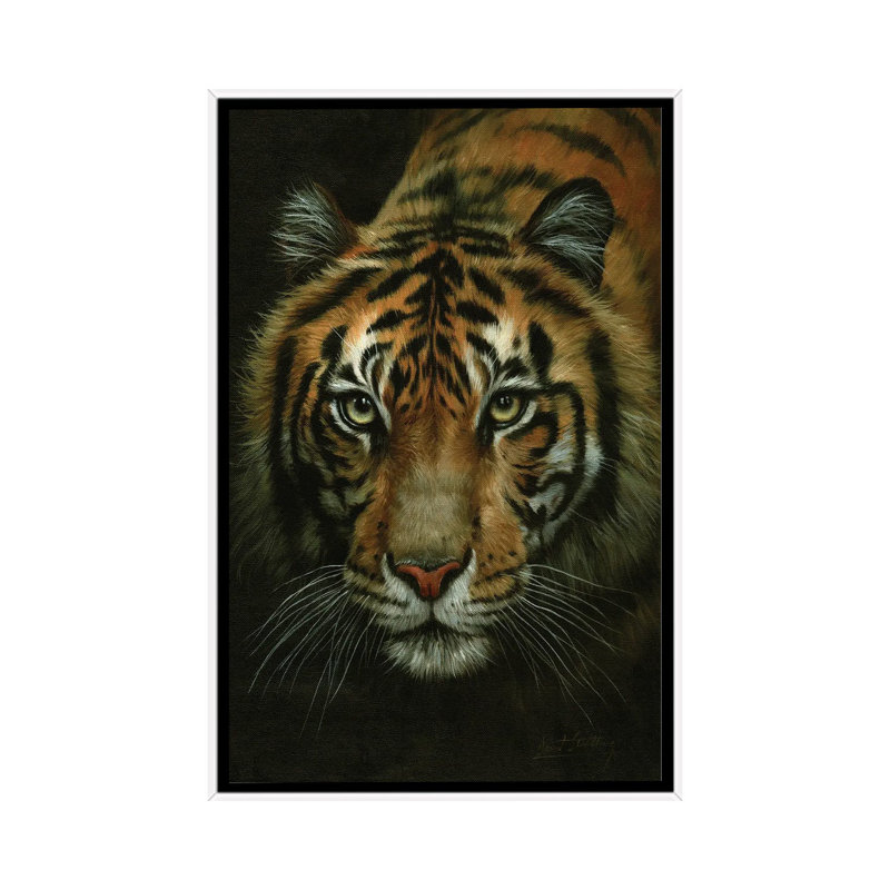 Tiger Portrait by David Stribbling - Print on Canvas, 101.6 cm H x 66.04 cm W, White Framed