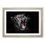 A Yawning Tiger - Framed Print-55457263-55457265