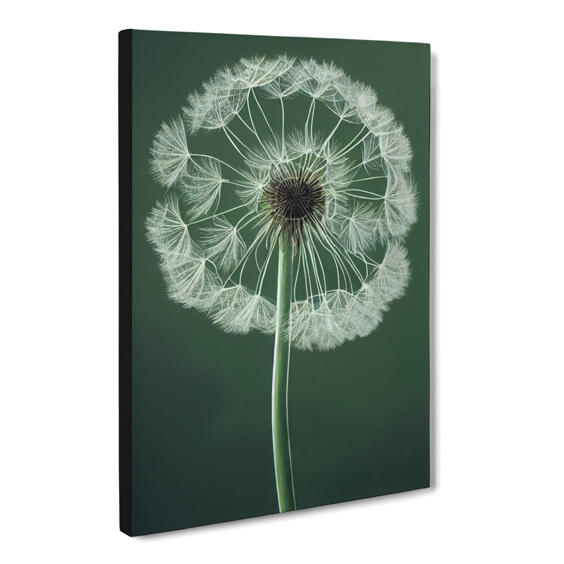 Dandelion Portrait Vol.2 - Wrapped Canvas, 50cm H x 35cm W x 3cm D