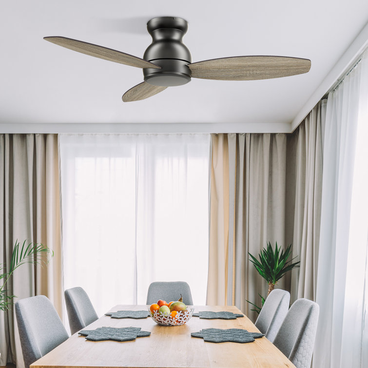 Gatton 48'' Ceiling Fan without light