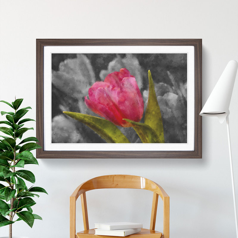 Pink Tulip Flower - Framed Print, 48cm H x 65cm W x 2cm D, Walnut Framed