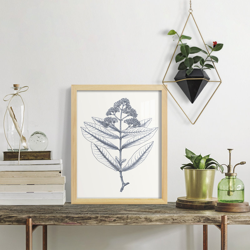Indigo Botany Study I - impression d'un cadre photo, H 15 po x l 12 po x P 1 po, Naturel