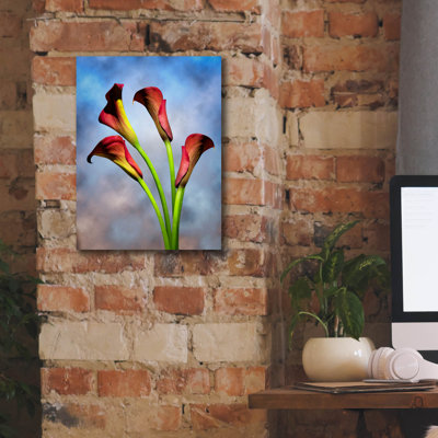 «Lily cala 6» par Mark Ashkenazi