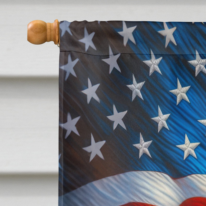 Drapeau «All American House», Terrier écossais