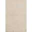 Hand Woven Silk and Wool Area Rug