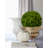 Gracie 16'' Boxwood Topiary