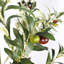 Olive artificielle avec pot-1267324235