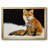 " Fox "-95906063-95906061