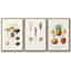 Ensemble de 3 fruits et légumes IV sur toile encadrée-97795013-97795016