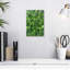Plante grasse Harnek-108426829