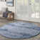 Machine Woven Chenille Indoor/Outdoor Area Rug in Blue/Denim