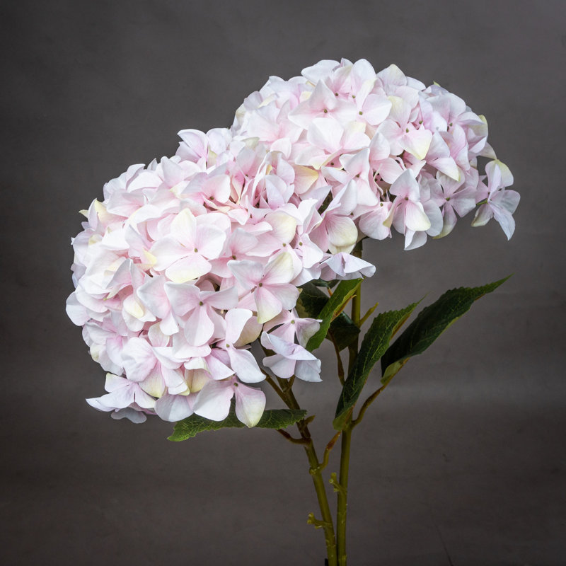 Hydrangea Arrangement