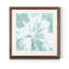 Algue sur Aqua VIII-impression de cadre photo sur papier-1742947652-1742947653-1742967525