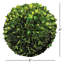 Preserved Greens Topiary, Hedge Plant in-1214296199