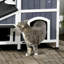Maison pour chat Pawhut