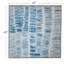Toile encadrée Blue Gail