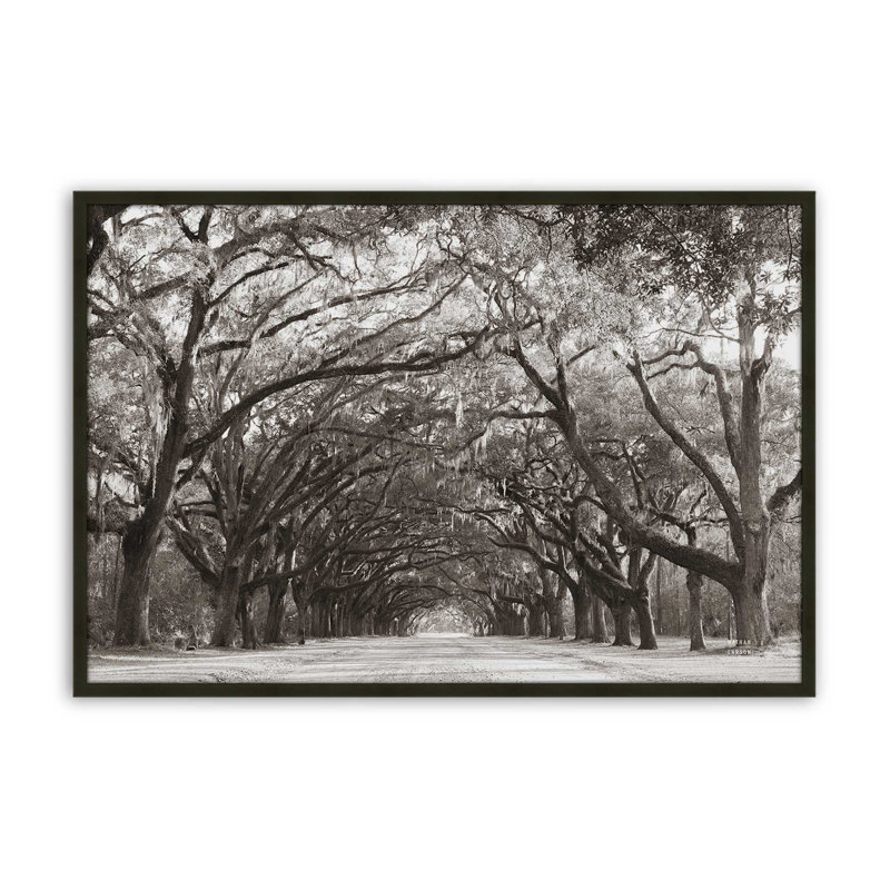 «Georgia Stroll» par Nathan Larson, reproduction d'art, H 12 po x l 18 po, Noir