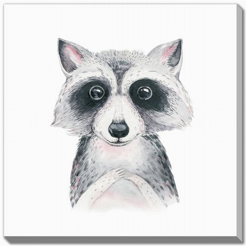 Art mural sur toile Racoon, H 38 po x l 38 po