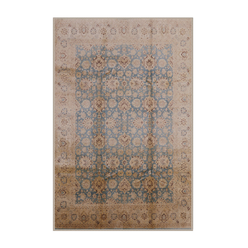 Kalusd Oriental Indoor Rug, Rectangle 4' x 6'
