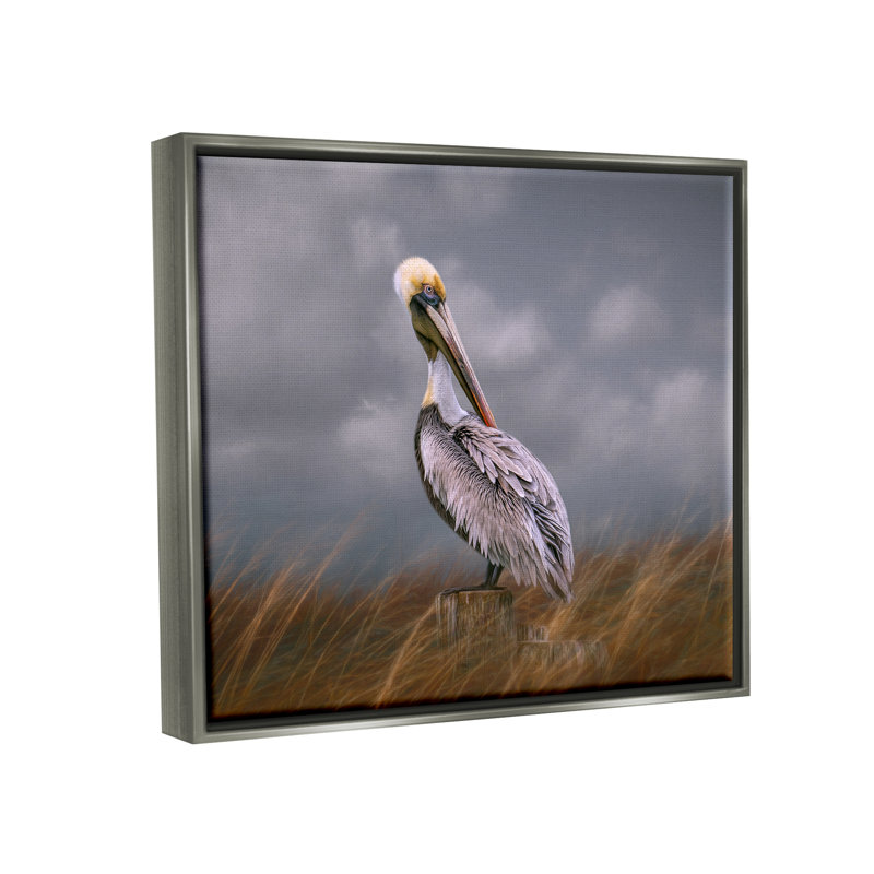 Faune, pélican, ciel nuageux, art mural sur toile par Kelley Parker, H 17 po x l 21 po x P 1,7 po, Cadre flottant gris lustré