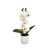 Blanc est en rupture de stock