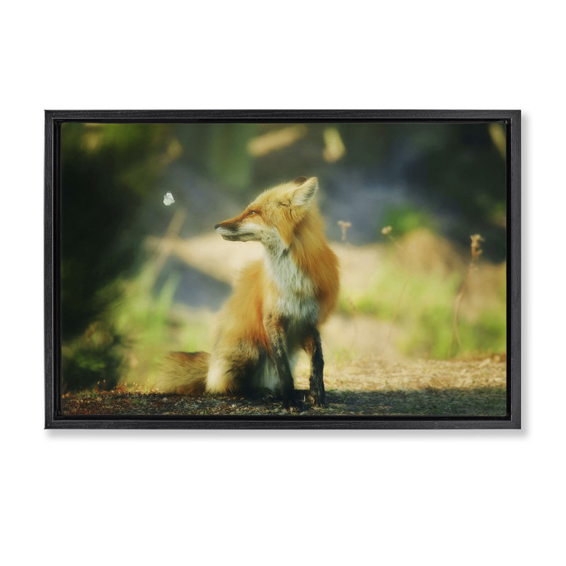 «Fox Kit & Butterfly» par Carrie Ann Grippo-Pike, Cadre flottant noir de jais, H 21 po x l 31 po