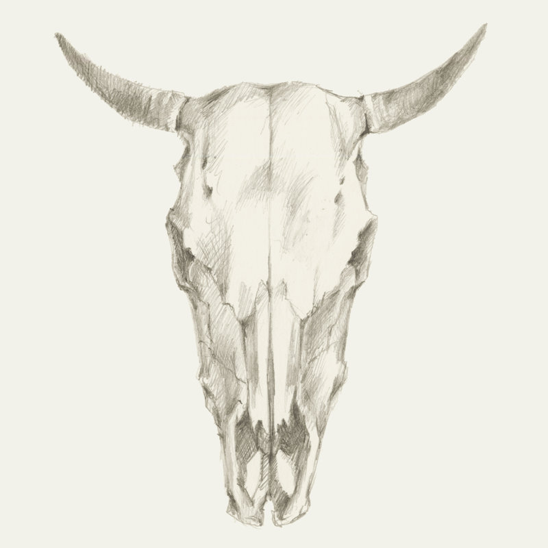 «Western Skull Mount I», peinture sur toile, H 12 po x l 12 po