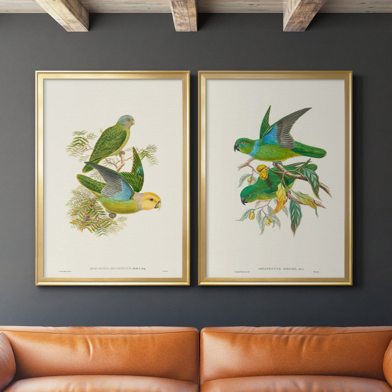 «Lime & Cerulean Parrots I», ensemble de 2 reproductions encadrées sur toile, H 42,5 po x l 61 po x P 2,5 po