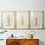 Croquis rétro CX III - reproduction encadrée sur mesure de qualité supérieure - 3 pièces-1163826262-1163826259