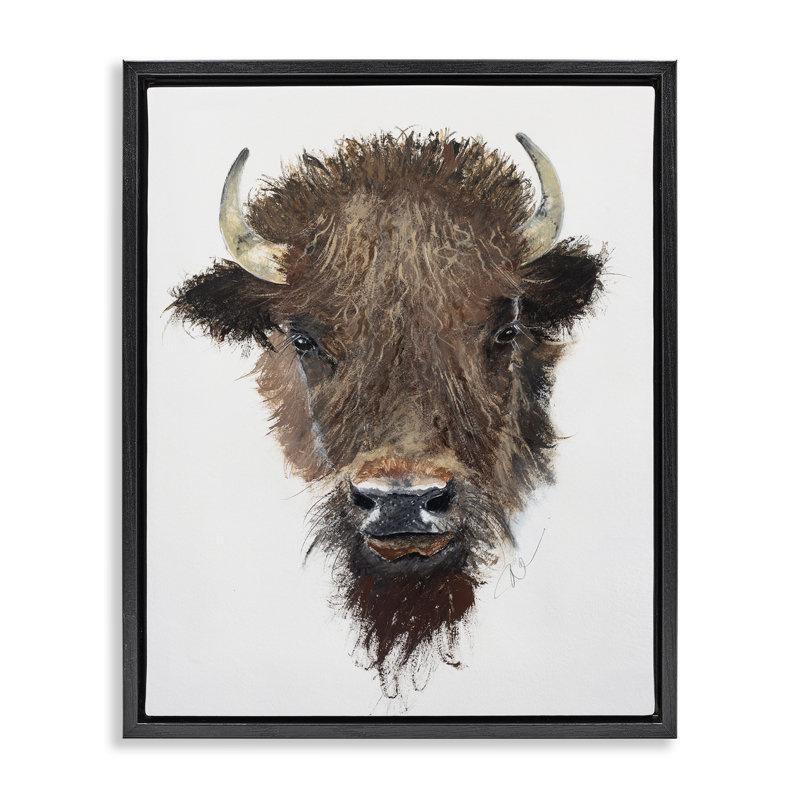 «Western Bison Visage», art mural encadré flottant par Filippo Ioco, Cadre flottant noir de jais, H 21 po x l 17 po
