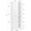 Compact bathroom cabinet Freestanding Linen Cabinet-108957042