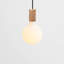 Porcelain III Single Pendant in Brass
