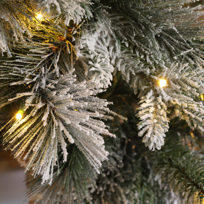 Arbre de Noël Leilonie, 11'