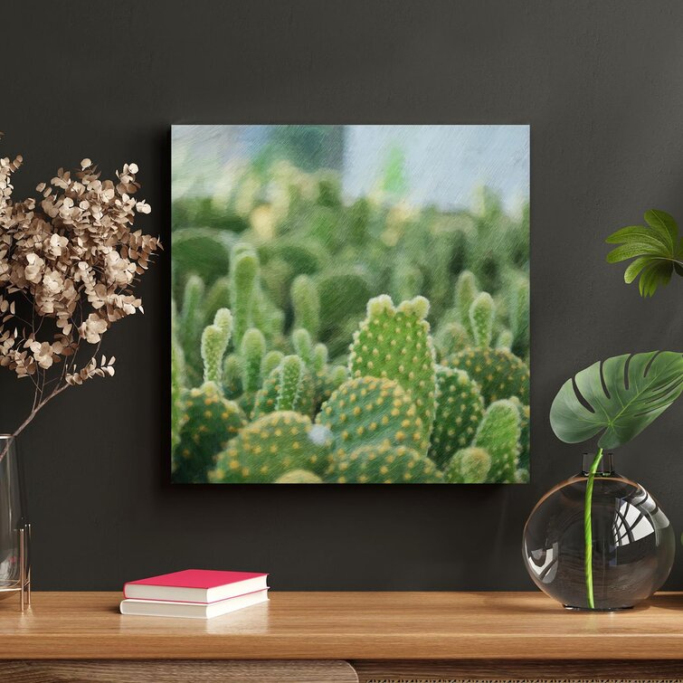 Foundry Select Green Cactus Plant In Close Up Photography 41 On Canvas ...