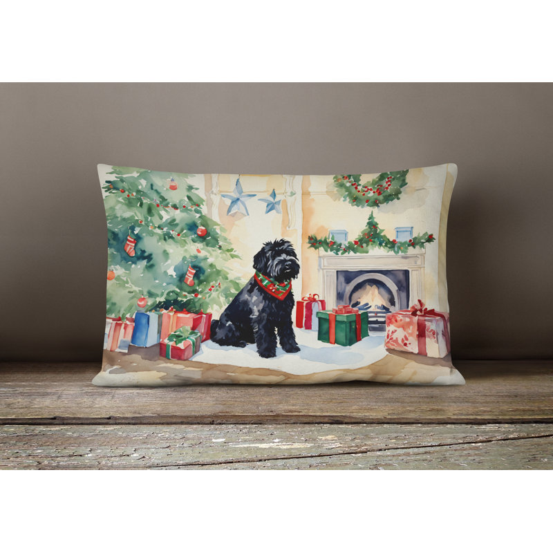 Other/No Pattern Outdoor Throw Pillow