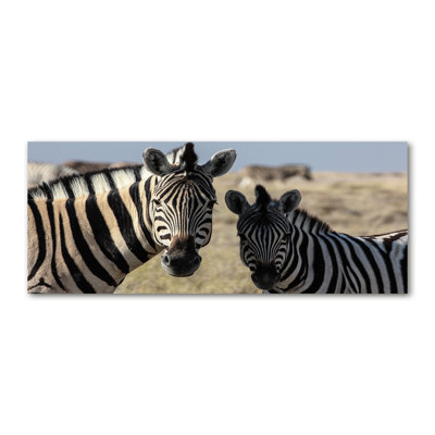 Two Zebras - No Frame Print on Canvas