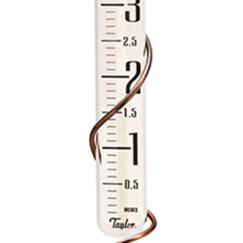Pluviomètre en verre de la collection Taylor Heritage, capacité de 5 pouces, bronze