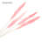55'' Pampas Grass-613244841