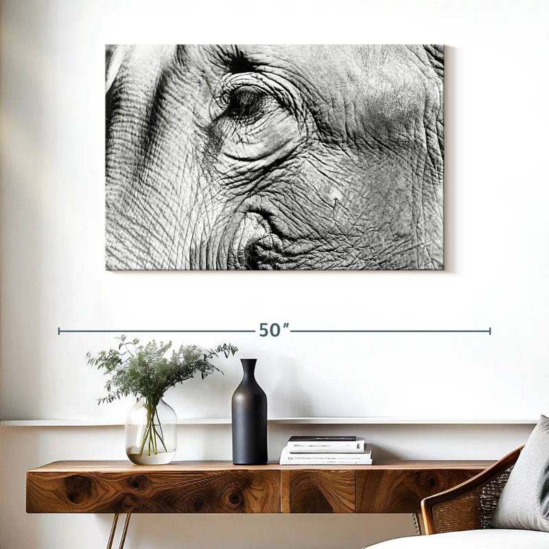 Gros plan sur l'éléphant Brampt, H 26 po x l 39 po