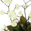 Cherry Blossom and Magnolia Arrangement