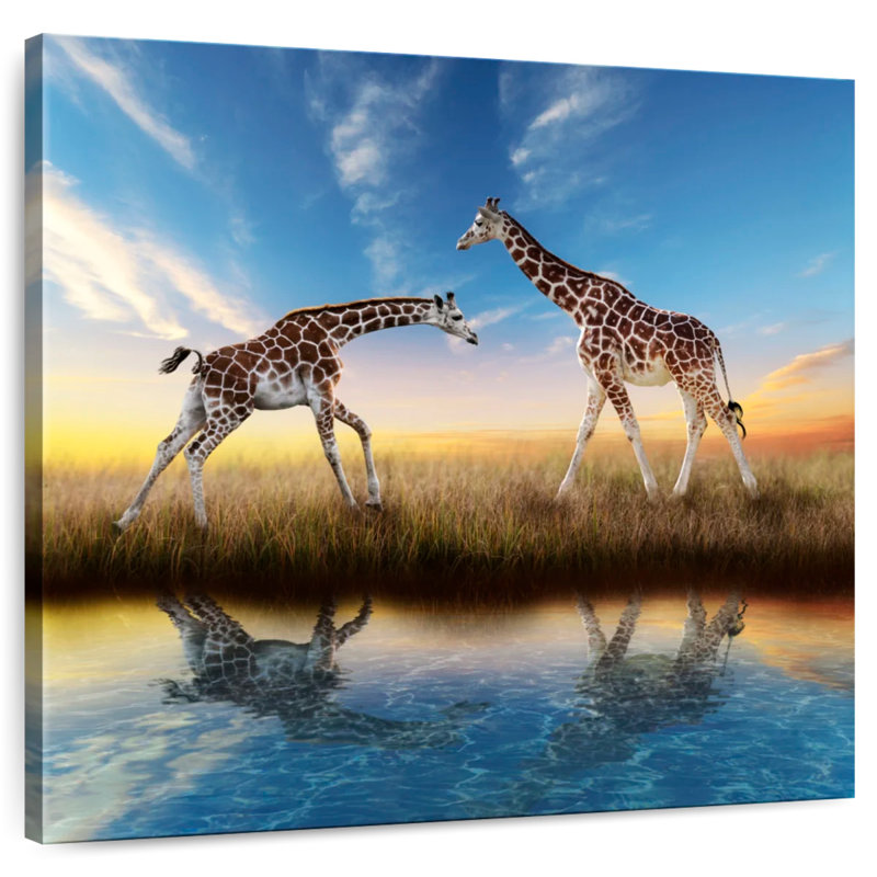 Crowle Giraffes By A Watering Hole